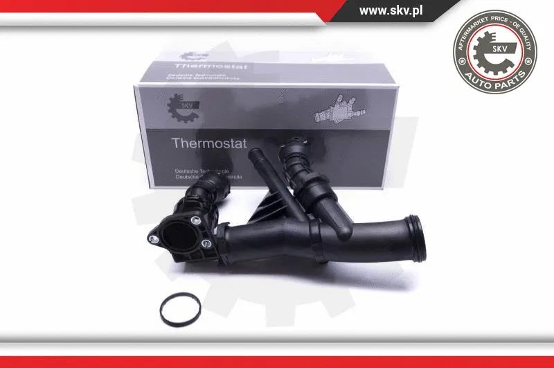 Termostatas ESEN SKV 20SKV106