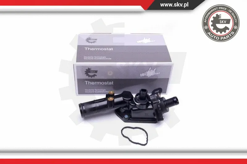 Termostatas ESEN SKV 20SKV109