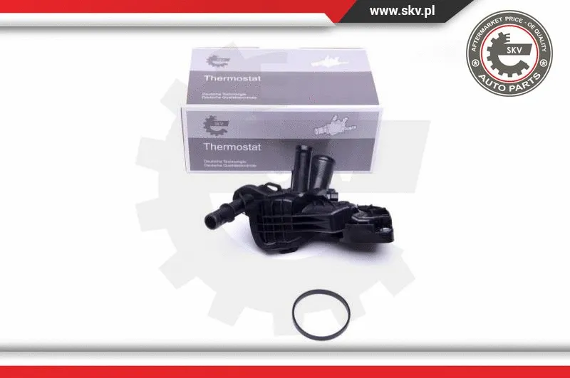 Termostatas ESEN SKV 20SKV111