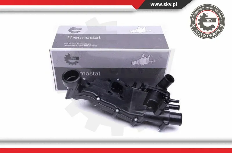 Termostatas ESEN SKV 20SKV113