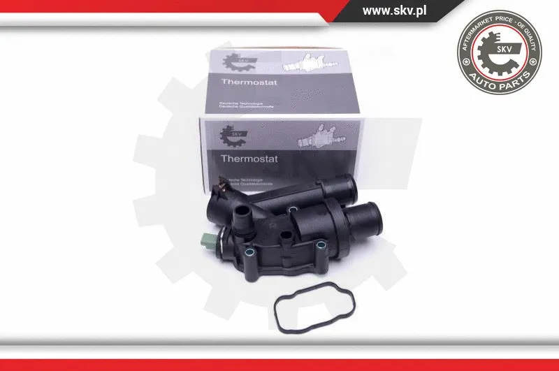 Termostatas ESEN SKV 20SKV118