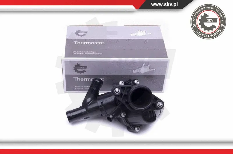 Termostatas ESEN SKV 20SKV120