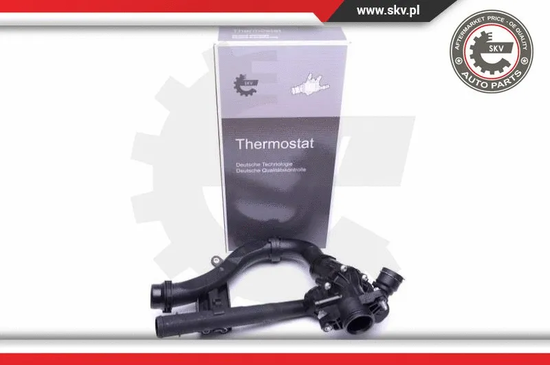 Termostatas ESEN SKV 20SKV121