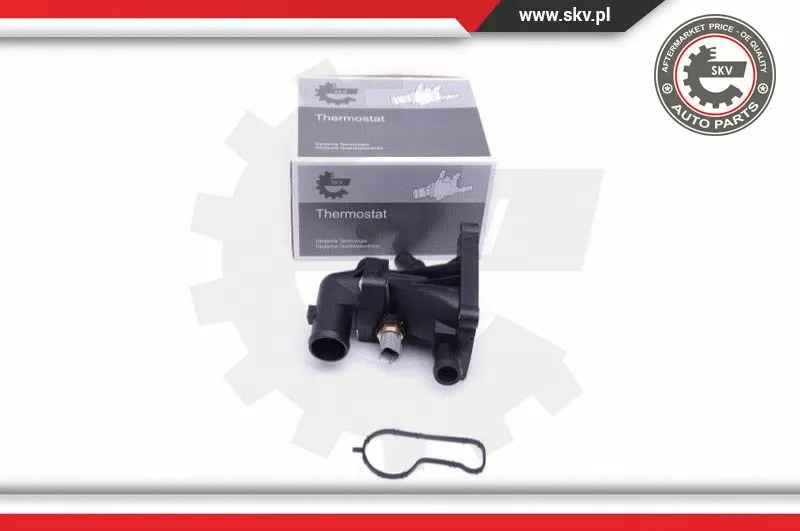 Termostatas ESEN SKV 20SKV124