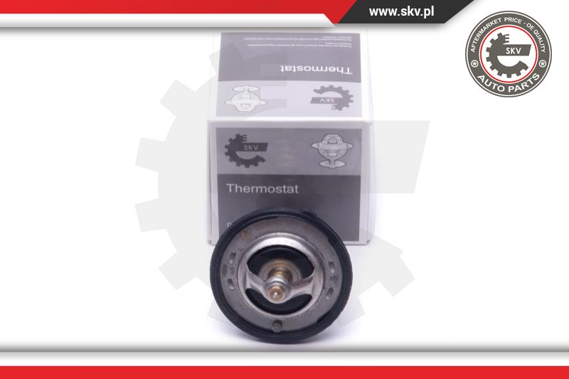 Termostatas ESEN SKV 20SKV131