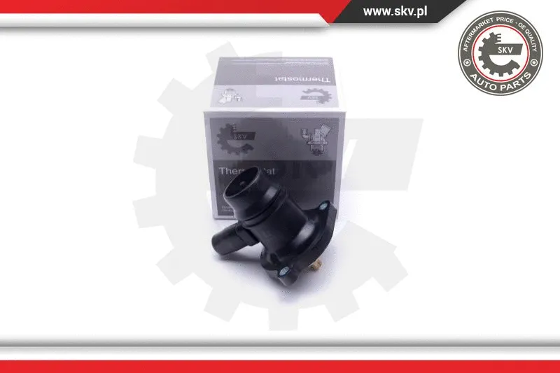 Termostatas ESEN SKV 20SKV133