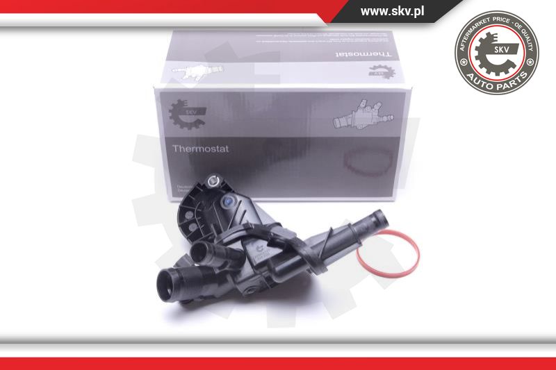 Termostatas ESEN SKV 20SKV137