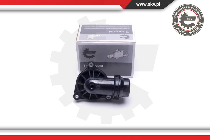 Termostatas ESEN SKV 20SKV141