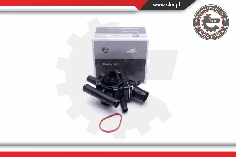 Termostatas ESEN SKV 20SKV142