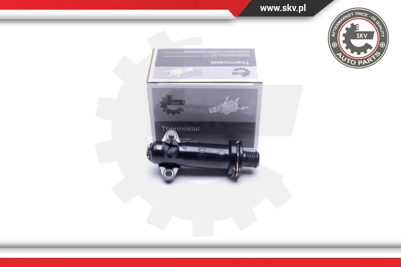 Termostatas ESEN SKV 20SKV143
