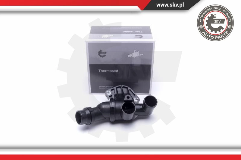 Termostatas ESEN SKV 20SKV144