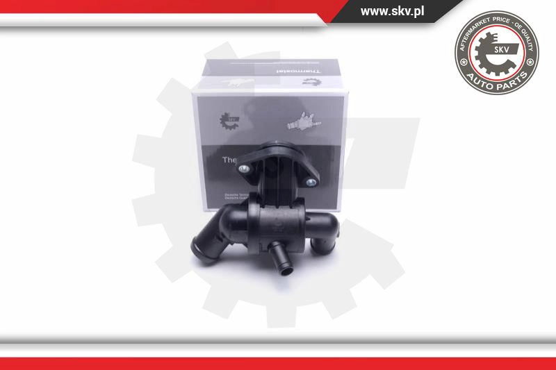 Termostatas ESEN SKV 20SKV147