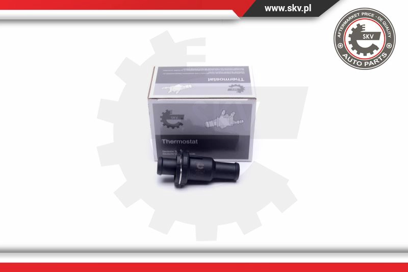 Termostatas ESEN SKV 20SKV148