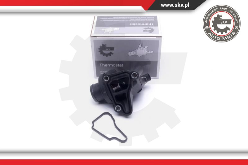 Termostatas ESEN SKV 20SKV149