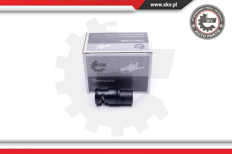 Termostatas ESEN SKV 20SKV153