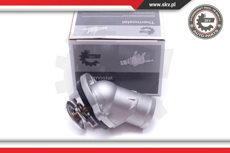 Termostatas ESEN SKV 20SKV156
