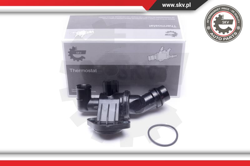 Termostatas ESEN SKV 20SKV162