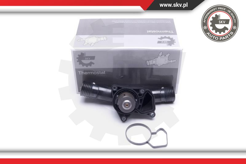 Termostatas ESEN SKV 20SKV163