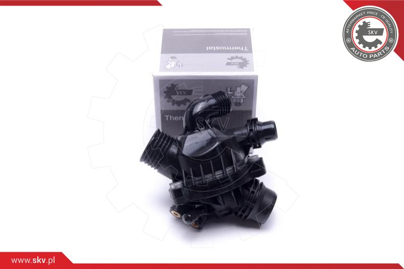 Termostatas ESEN SKV 20SKV164