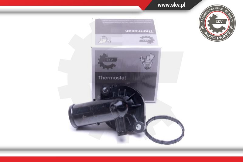 Termostatas ESEN SKV 20SKV165