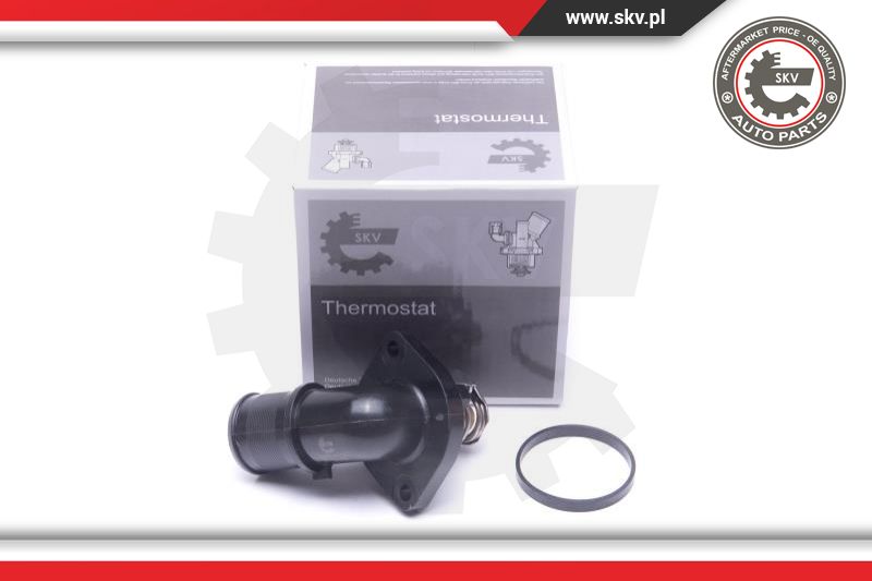 Termostatas ESEN SKV 20SKV166