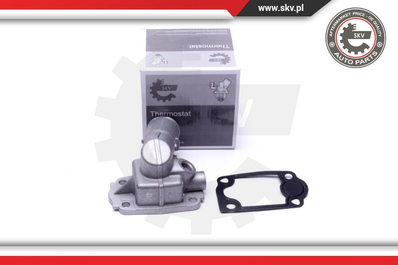 Termostatas ESEN SKV 20SKV168