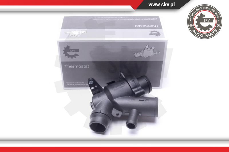 Termostatas ESEN SKV 20SKV169