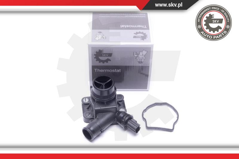 Termostatas ESEN SKV 20SKV170