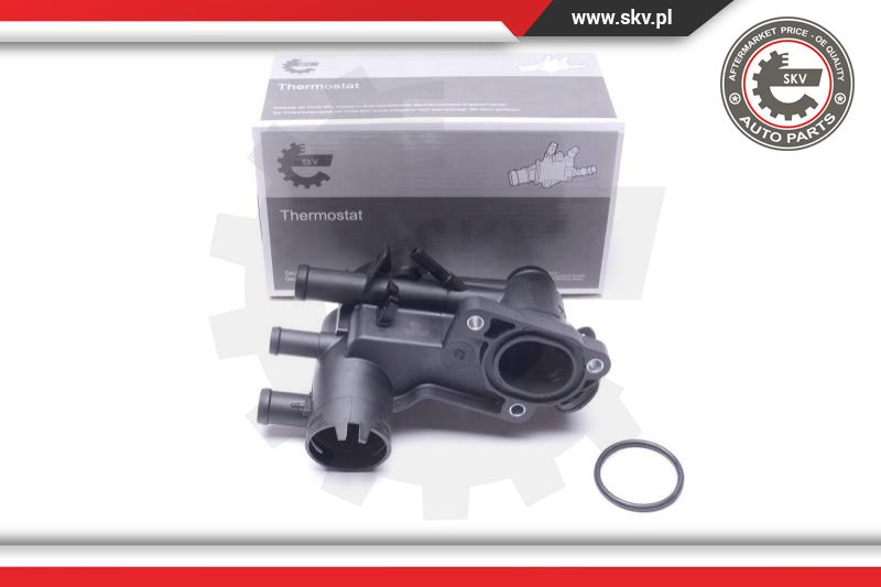 Termostatas ESEN SKV 20SKV175