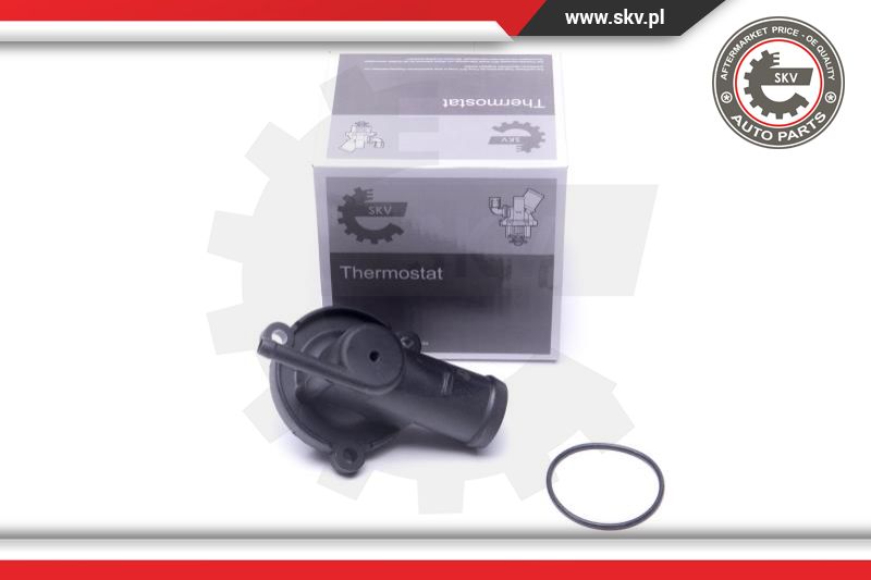 Termostatas ESEN SKV 20SKV176