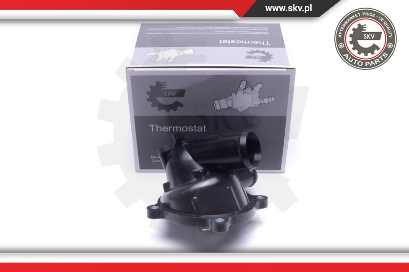 Termostatas ESEN SKV 20SKV179