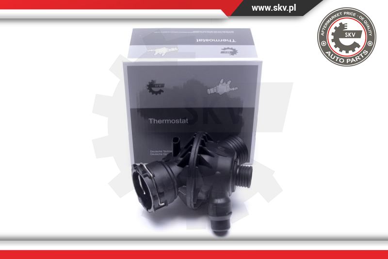 Termostatas ESEN SKV 20SKV181