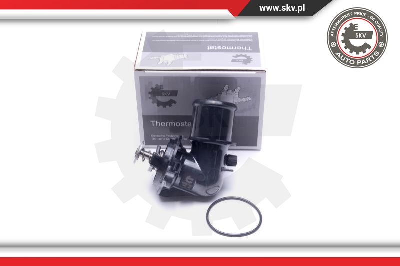Termostatas ESEN SKV 20SKV184