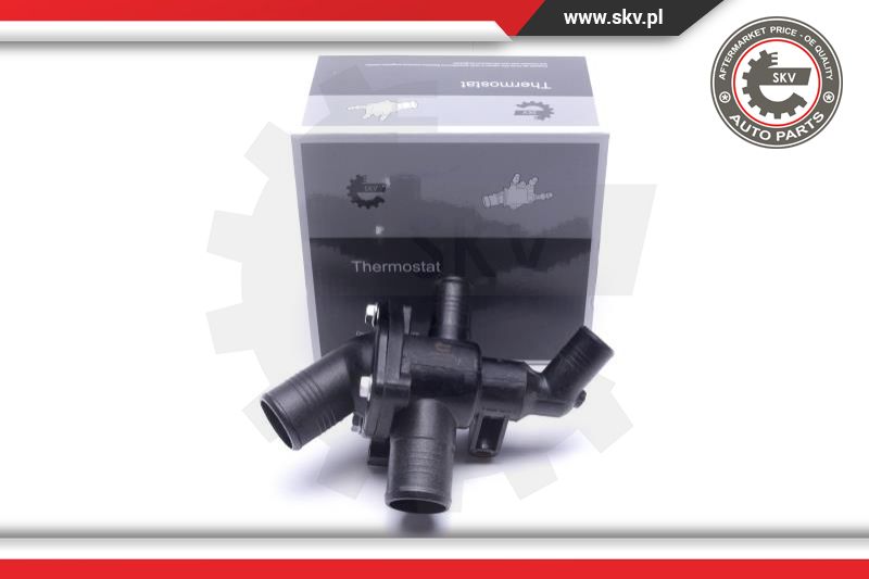 Termostatas ESEN SKV 20SKV189