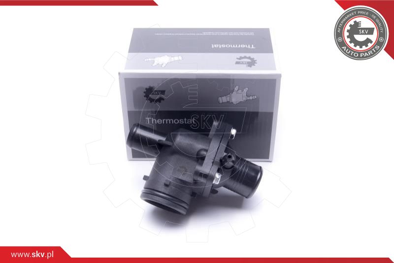 Termostatas ESEN SKV 20SKV190