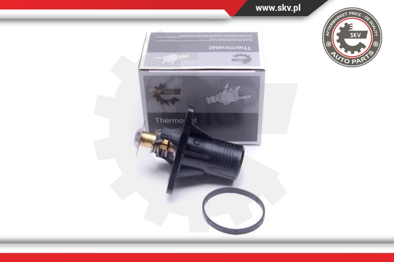 Termostatas ESEN SKV 20SKV193