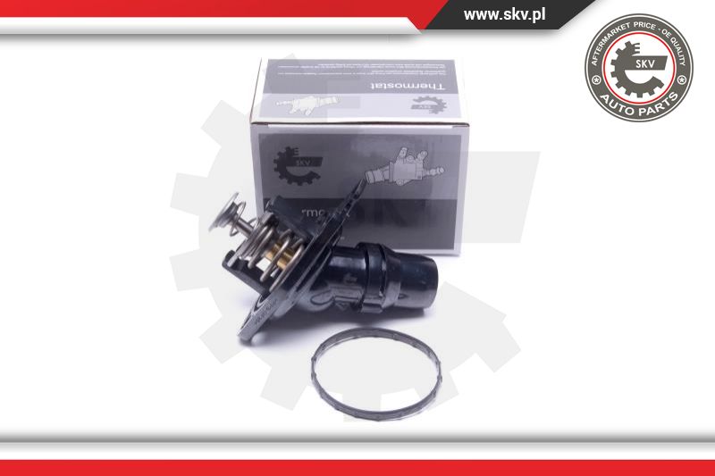 Termostatas ESEN SKV 20SKV195