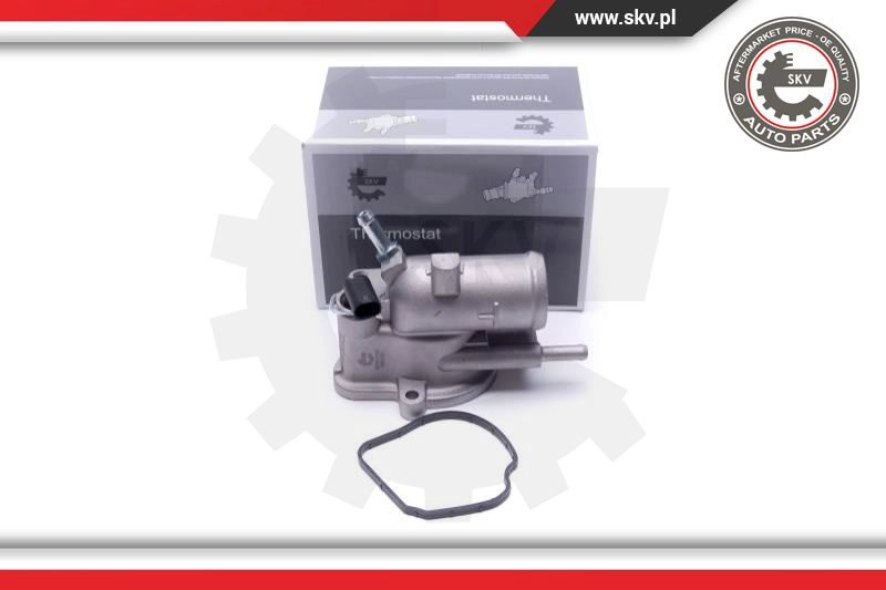 Termostatas ESEN SKV 20SKV199