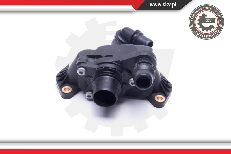 Termostatas ESEN SKV 20SKV202