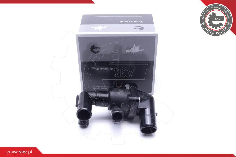 Termostatas ESEN SKV 20SKV203