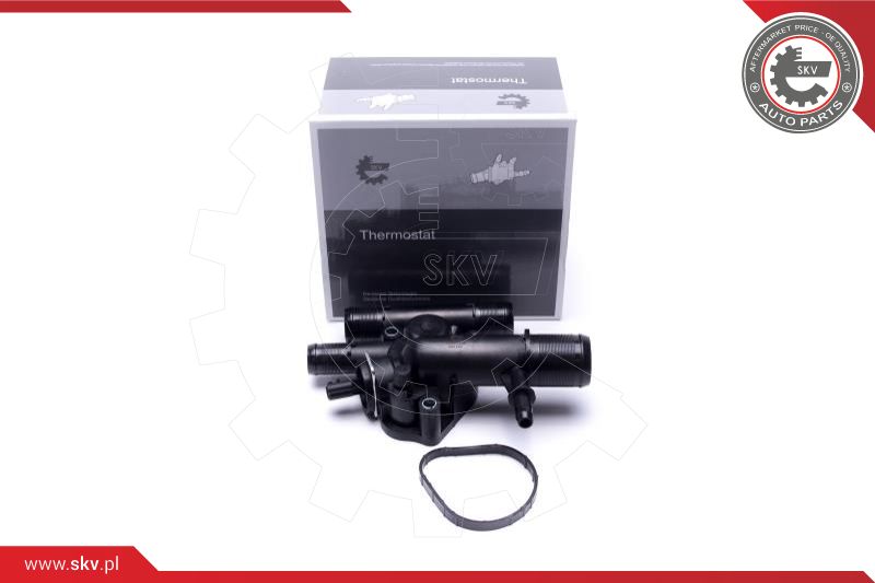 Termostatas ESEN SKV 20SKV204