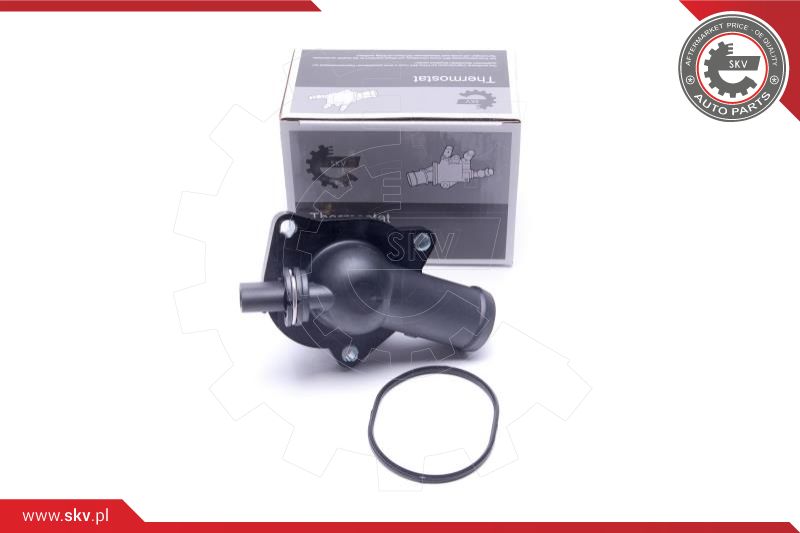 Termostatas ESEN SKV 20SKV205