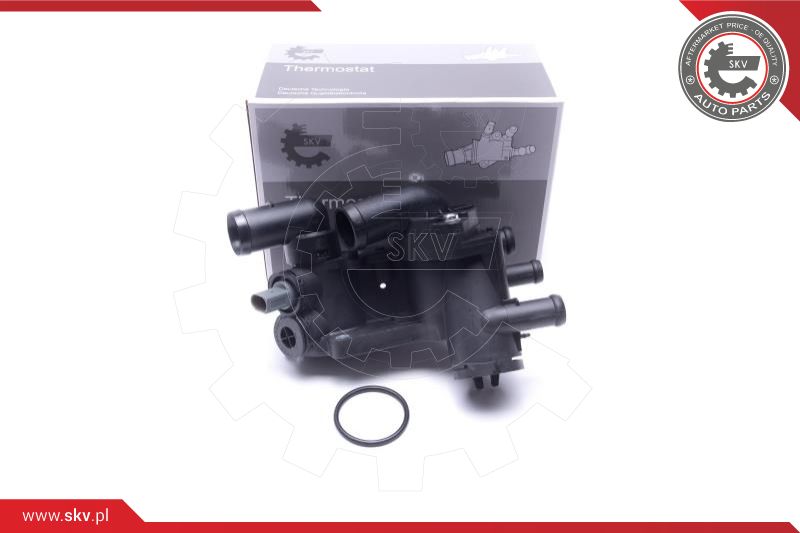 Termostatas ESEN SKV 20SKV207