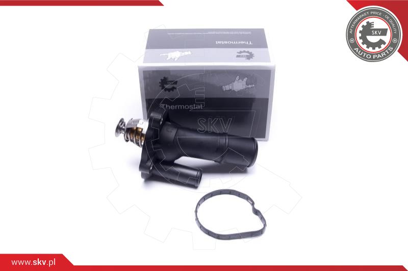 Termostatas ESEN SKV 20SKV209