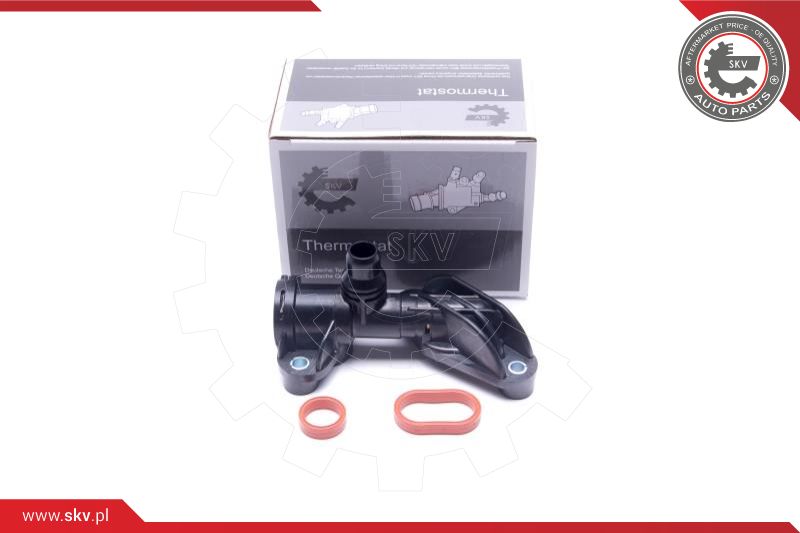 Termostatas ESEN SKV 20SKV211