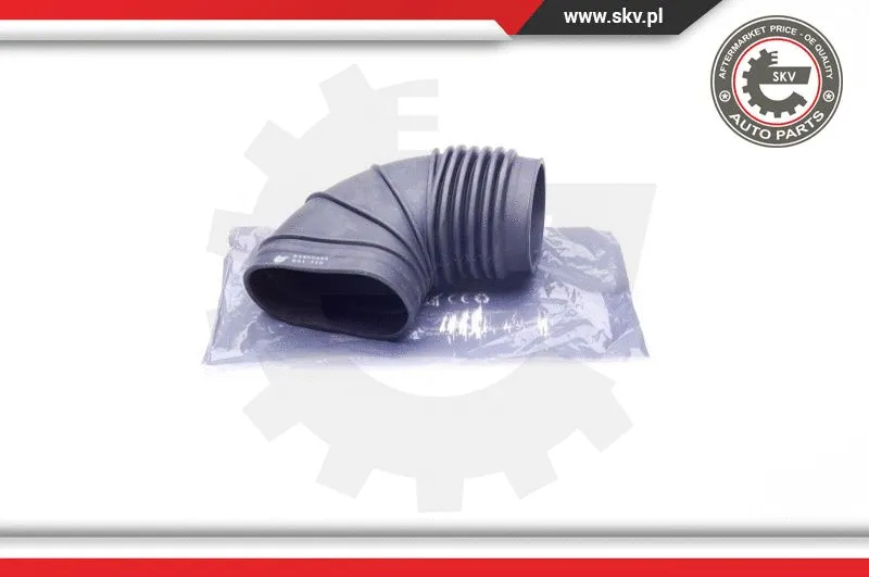 Oro filtro įsiurbimo vamzdis ESEN SKV 24SKV493