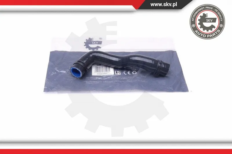 Oro filtro įsiurbimo vamzdis ESEN SKV 24SKV497
