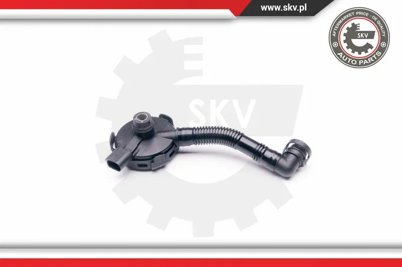 Variklio bloko alsuoklio vožtuvas ESEN SKV 31SKV020