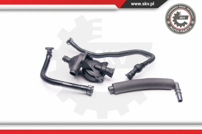 Variklio karterio alsuoklio remonto komplektas ESEN SKV 31SKV042
