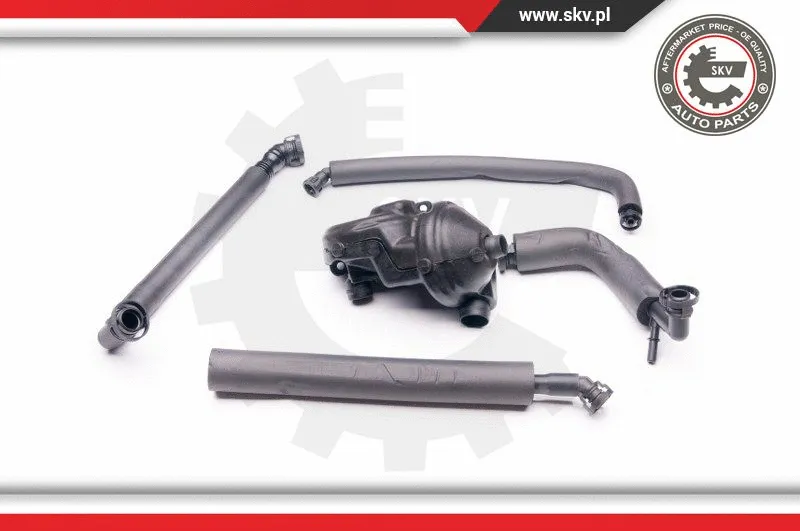 Variklio karterio alsuoklio remonto komplektas ESEN SKV 31SKV045